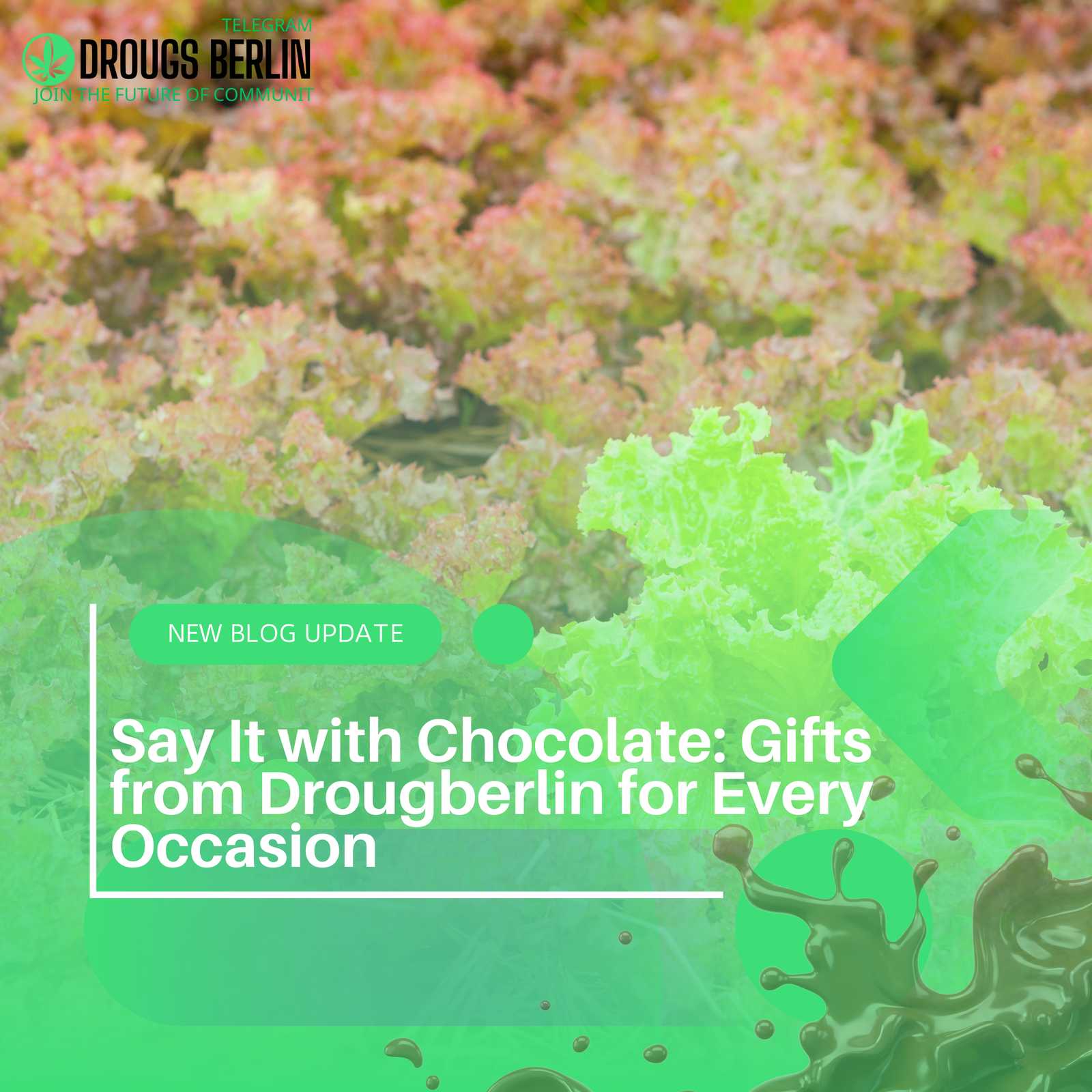 Say It with Chocolate: Gifts from Drougberlin for Every Occasion
