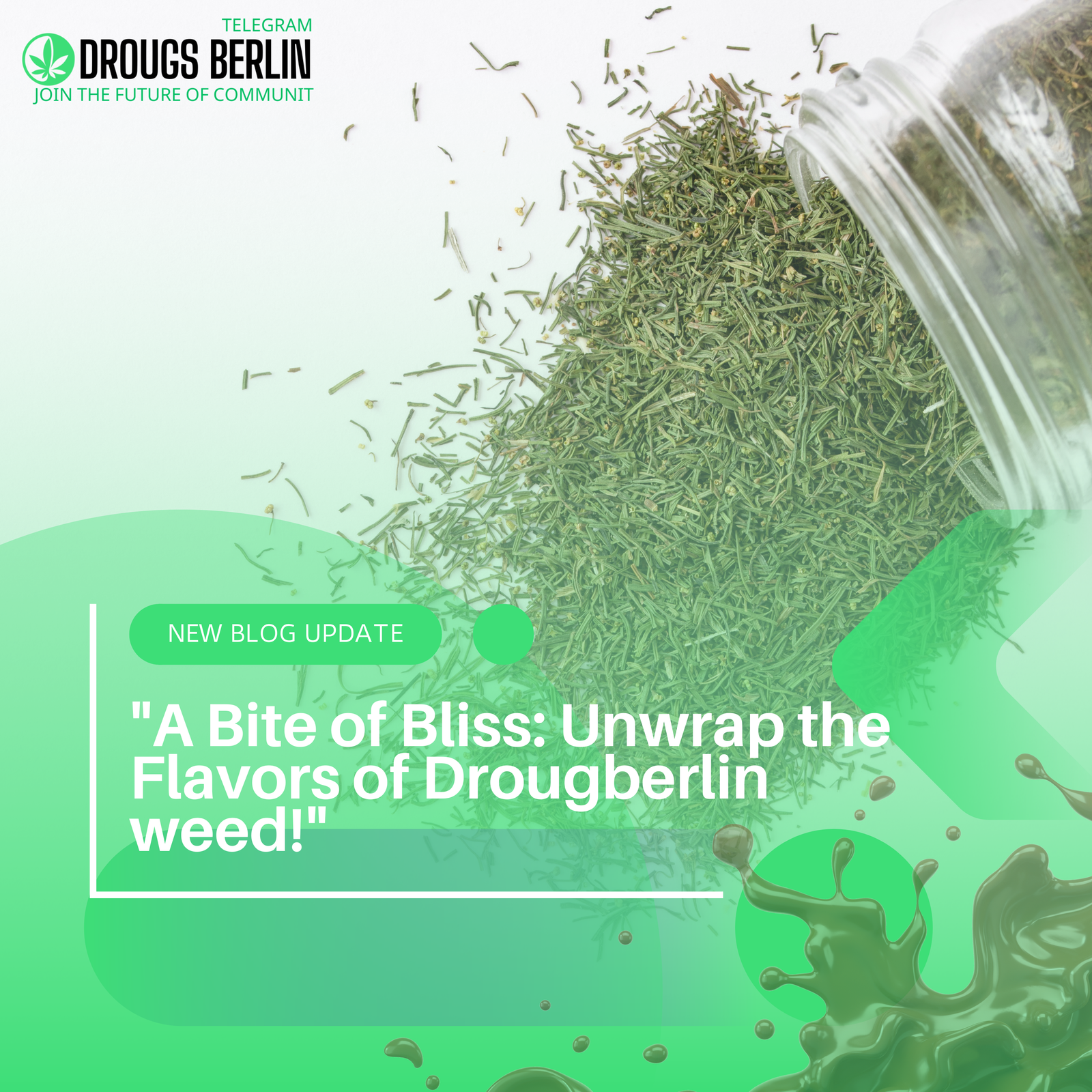 A Bite of Bliss: Unwrap the Flavors of Drougberlin Weed!