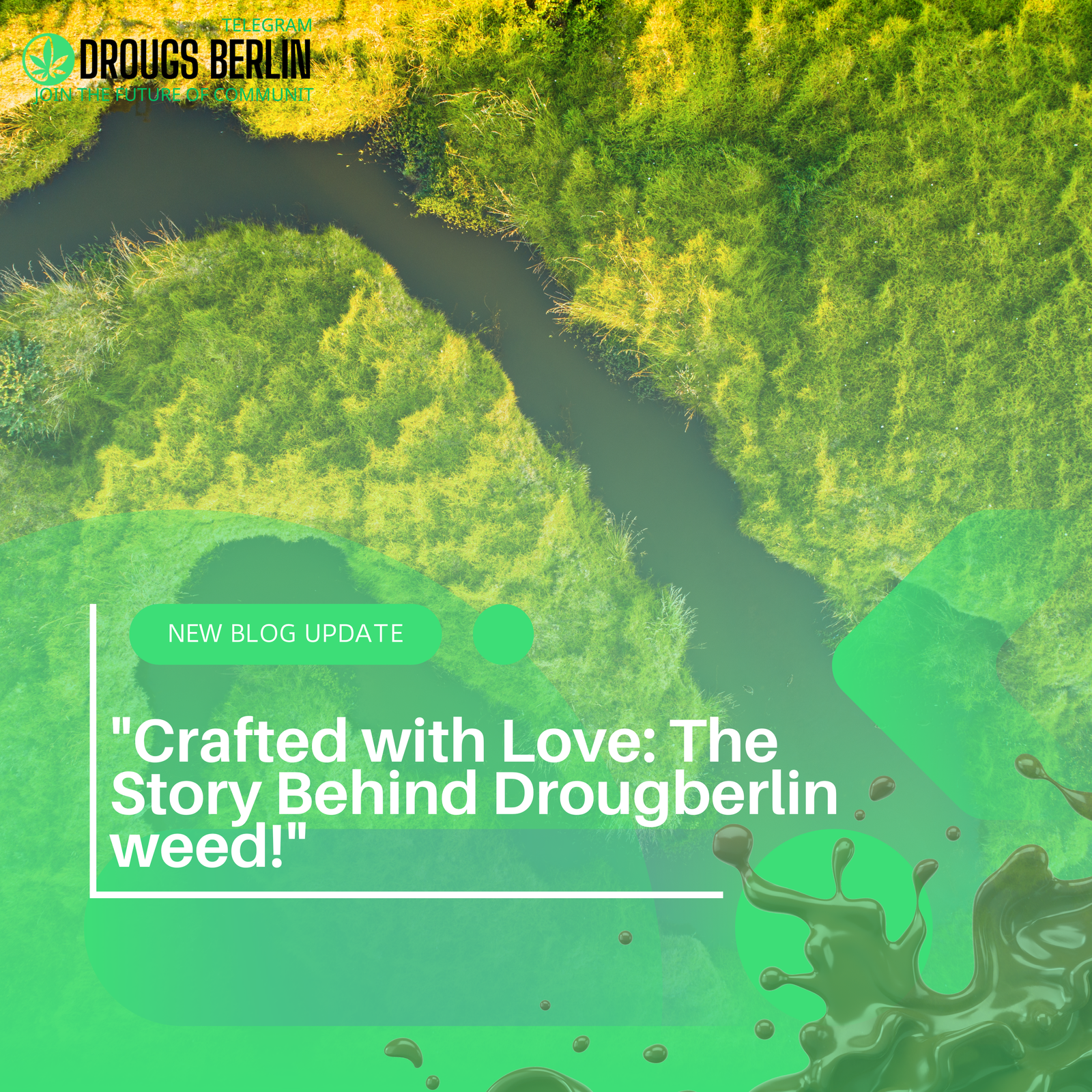 “Crafted with Love: The Story Behind Drougberlin weed!”