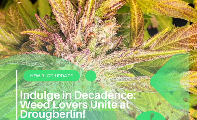 Indulge in Decadence: Weed Lovers Unite at Drougberlin!