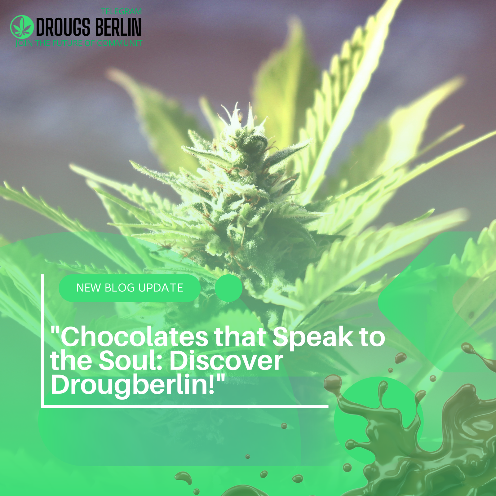 “Chocolates that Speak to the Soul: Discover Drougberlin!”