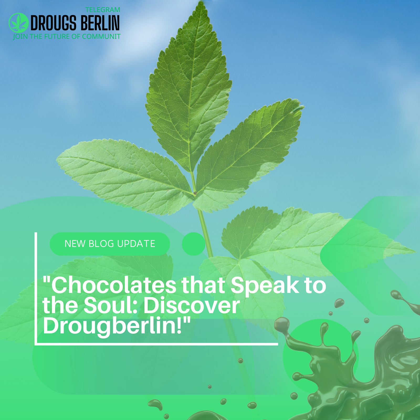 “More than Just Chocolate: The Drougberlin Experience!”